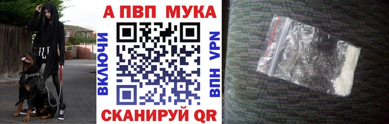 Купить закладки  Первомайск  Alpha PVP СК КРИС 