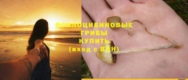 молекула духа Володарск