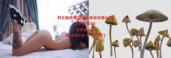 ECSTASY Волоколамск