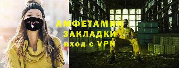 прущая мука Вяземский