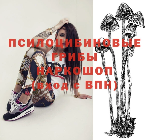 ECSTASY Волоколамск