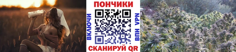 Марихуана индика  Купить где  Первомайск 
